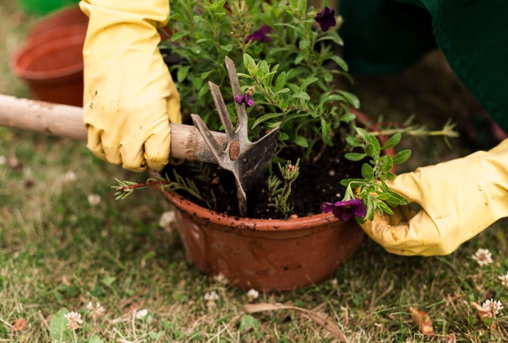 Beginner’s Guide to Start Gardening: How to Get Started