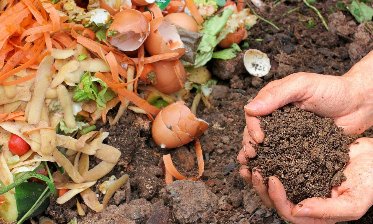 The Ultimate Guide to Composting: Transform Waste into Plant Food