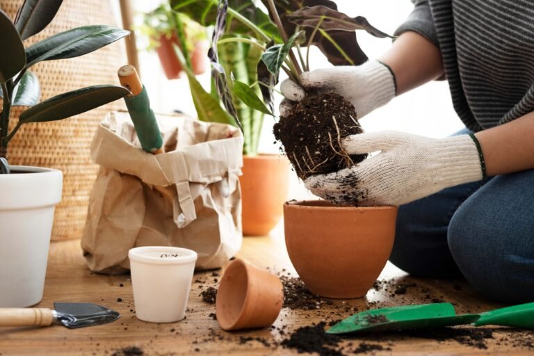 A hand holding a plant with exposed roots and soil above a pot