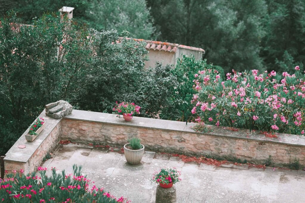 Scenery of a rooftop Garden