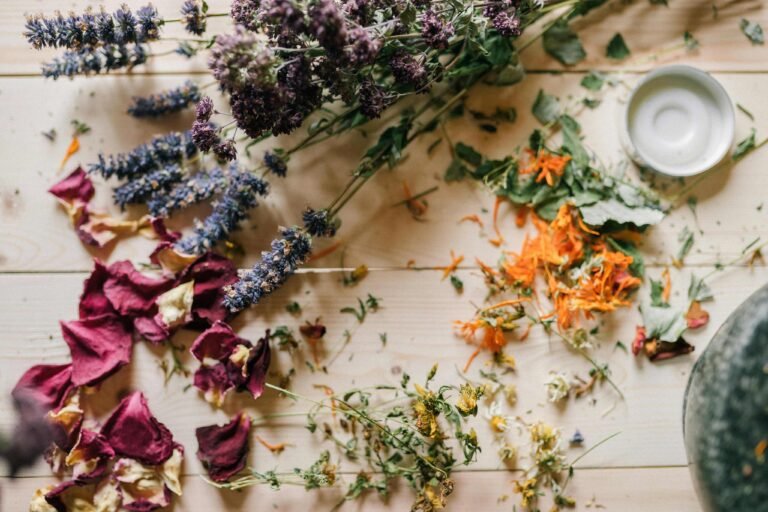 a bunch of dried medicinal herbs on a table